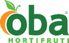 Logo Oba Hortifruti